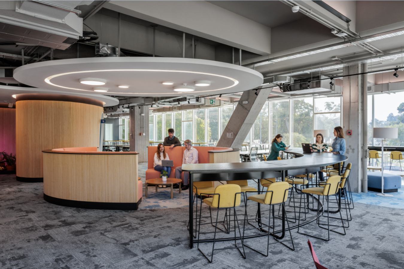 Uala Offices 2024 - High-top collaboration table with custom joinery and circular overhead lighting - Contract Workplaces.jpg